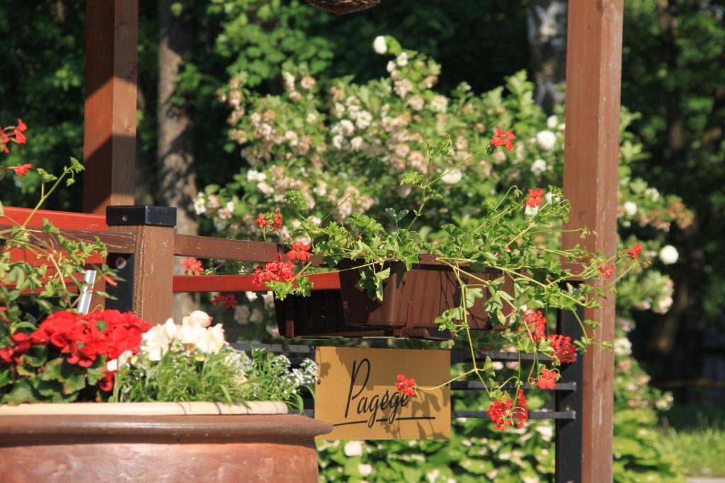 Sveciu Namai "Pagege" Bed & Breakfast Pagegiai ภายนอก รูปภาพ